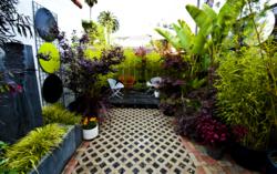 modern garden design